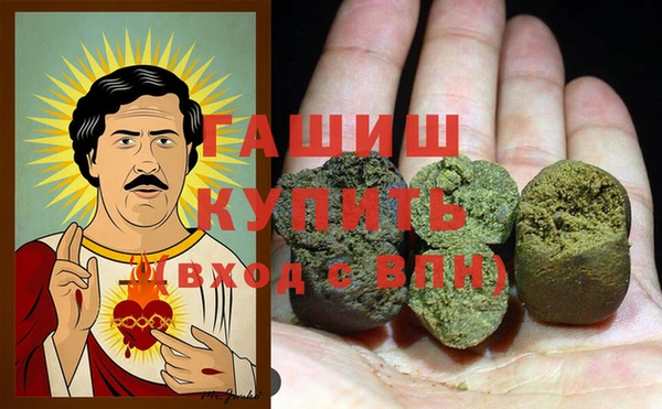 прущие грибы Гусиноозёрск