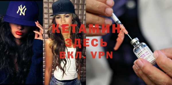 индика Гусев