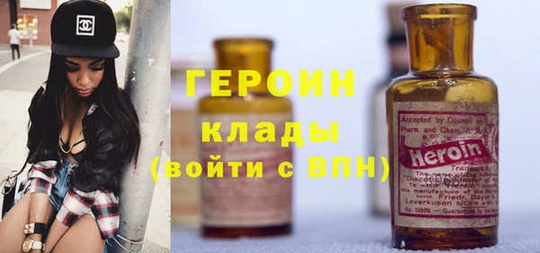 прущие грибы Гусиноозёрск