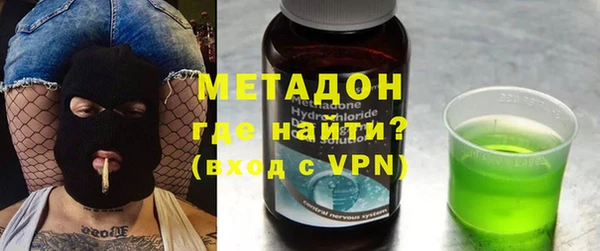 индика Гусев