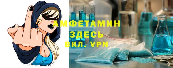 прущие грибы Гусиноозёрск