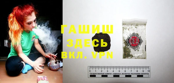 индика Гусев