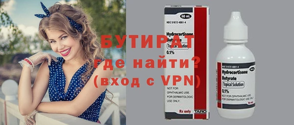индика Гусев