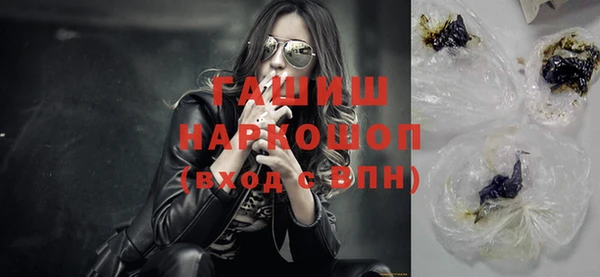 прущие грибы Гусиноозёрск