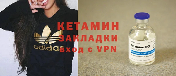 прущие грибы Гусиноозёрск