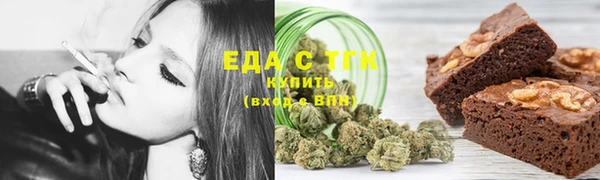 индика Гусев