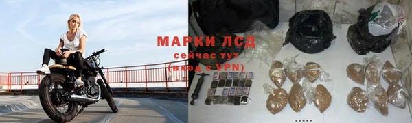 индика Гусев