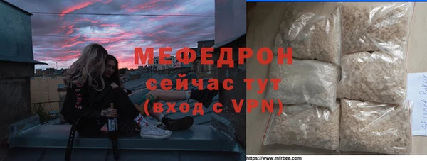 индика Гусев