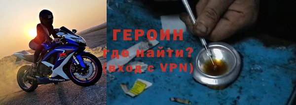 индика Гусев