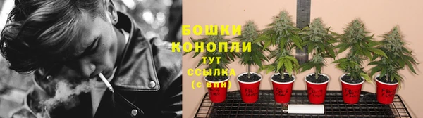 a pvp Гусь-Хрустальный