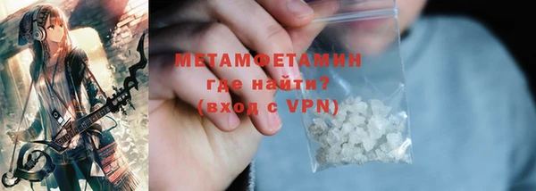 прущие грибы Гусиноозёрск