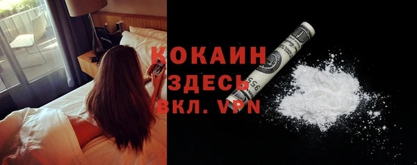 индика Гусев
