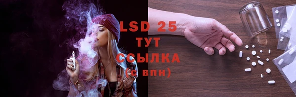 индика Гусев