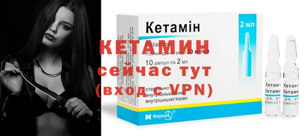 индика Гусев