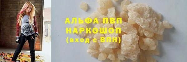 прущие грибы Гусиноозёрск