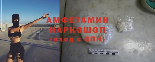 прущие грибы Гусиноозёрск