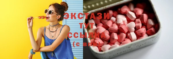 прущие грибы Гусиноозёрск