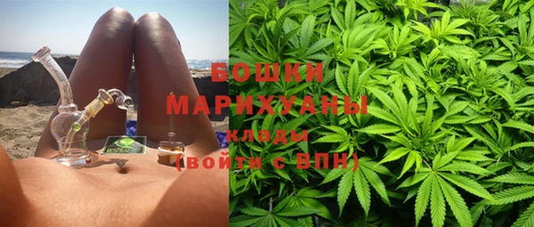 прущие грибы Гусиноозёрск