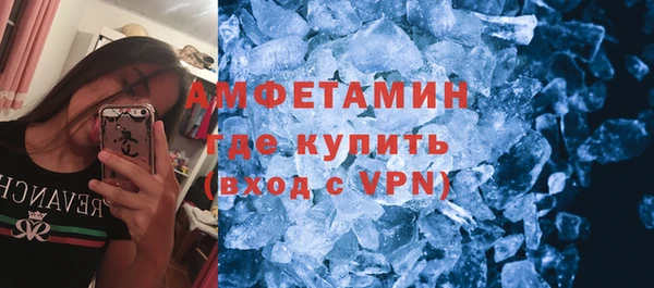 индика Гусев