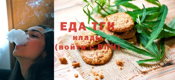 индика Гусев