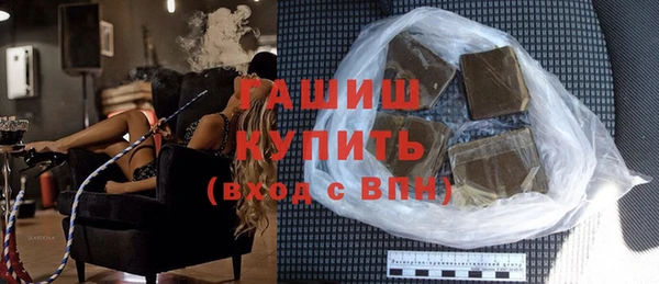индика Гусев