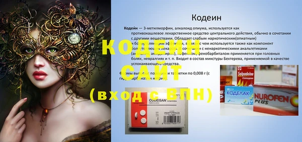 прущие грибы Гусиноозёрск