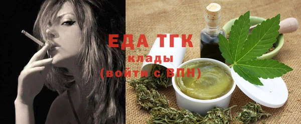 индика Гусев