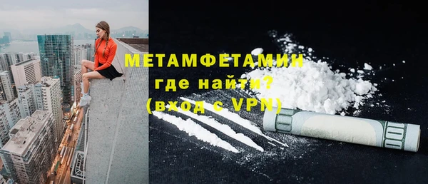прущие грибы Гусиноозёрск