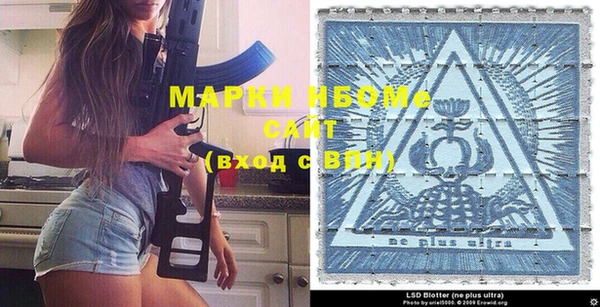 прущие грибы Гусиноозёрск