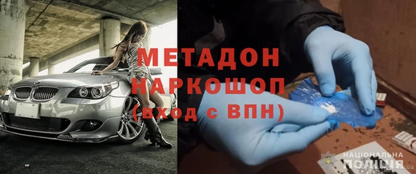индика Гусев