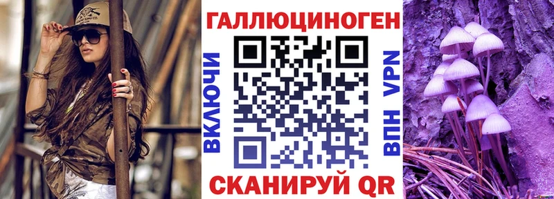 хочу   Малгобек  Псилоцибиновые грибы Cubensis 